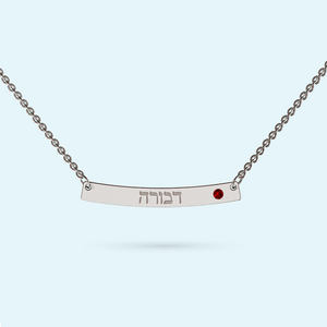 Curved Bar Necklace with January birthstone